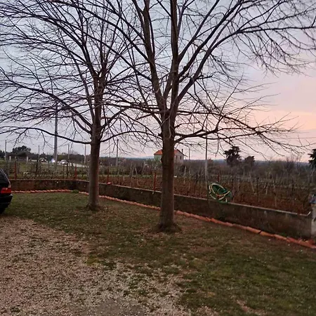 Lägenhet Kuca Za Odmor